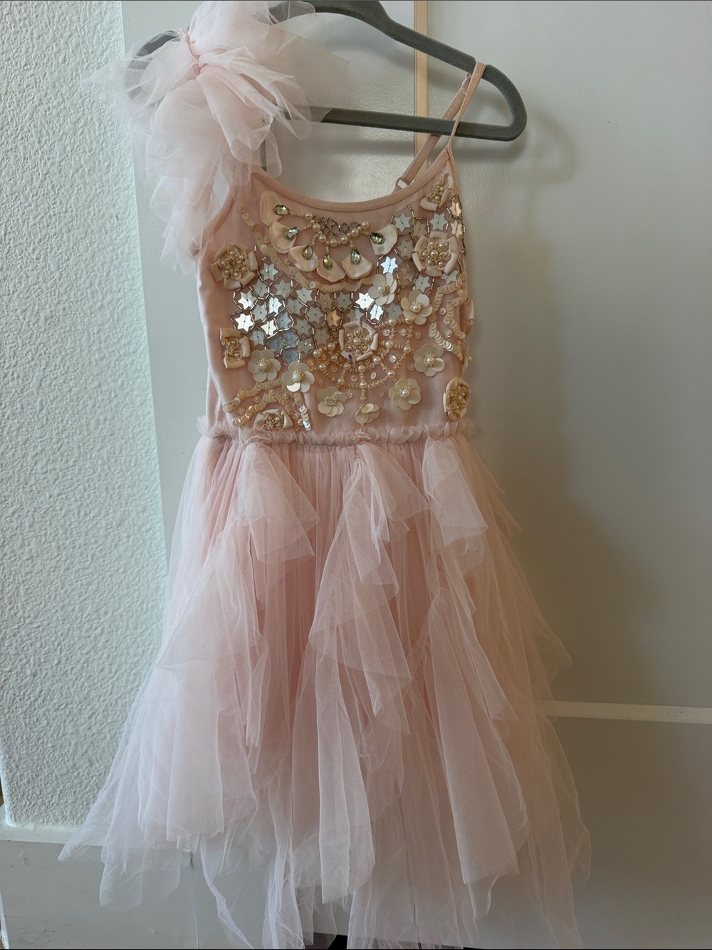 Tutu Du Monde Blush Pink Embellished Tulle Dance Dress
